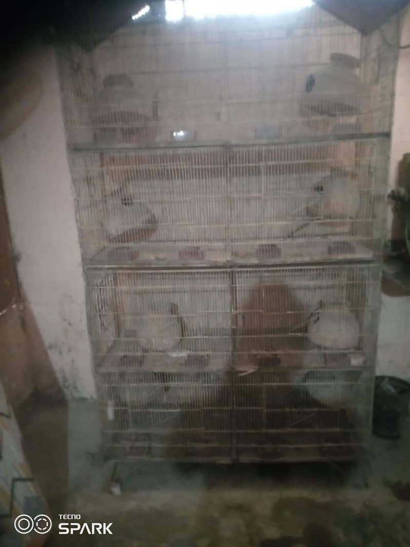 cages 5