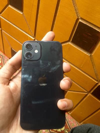 iPhone 12 mini