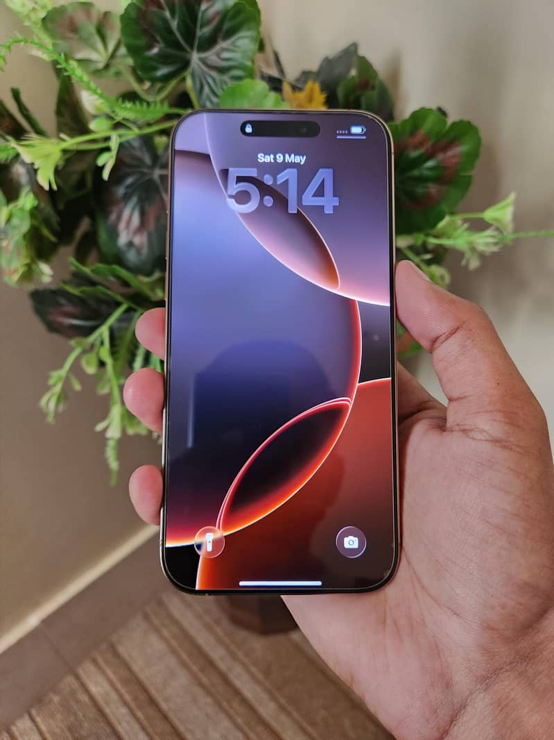 iPhone 16 Pro Max 1
