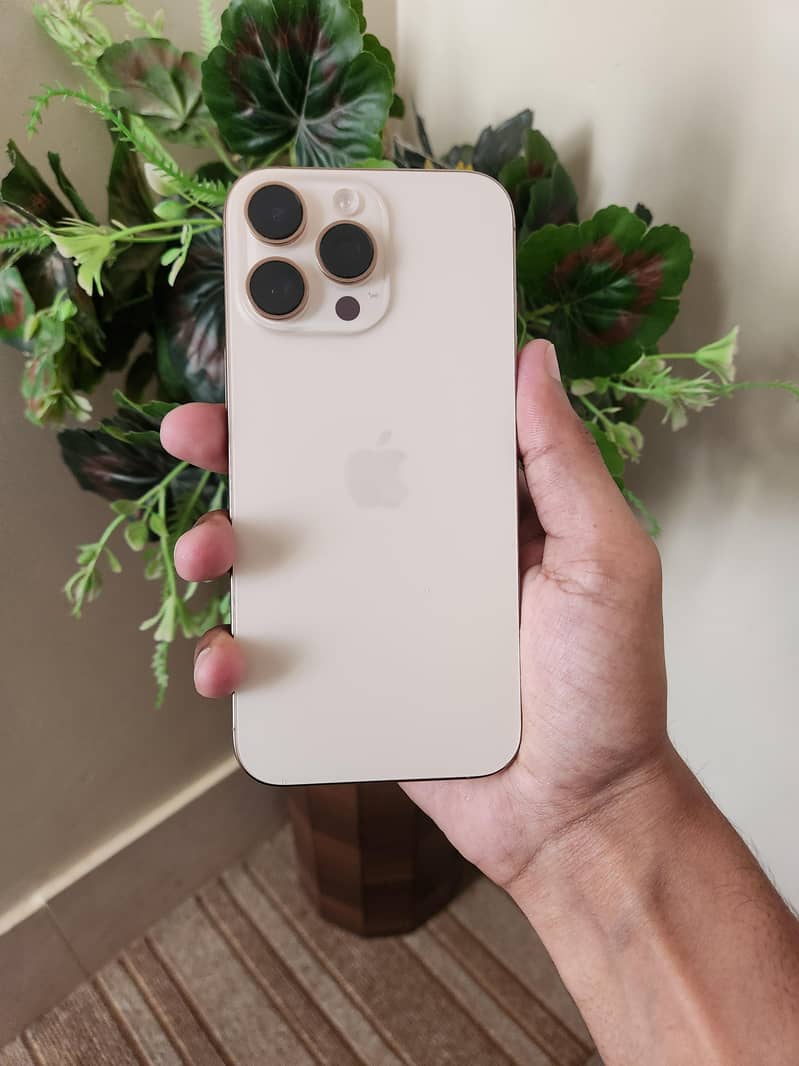 iPhone 16 Pro Max 2