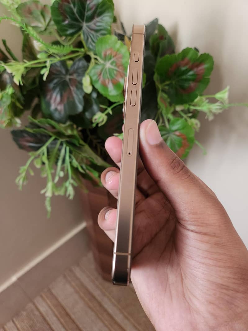 iPhone 16 Pro Max 3