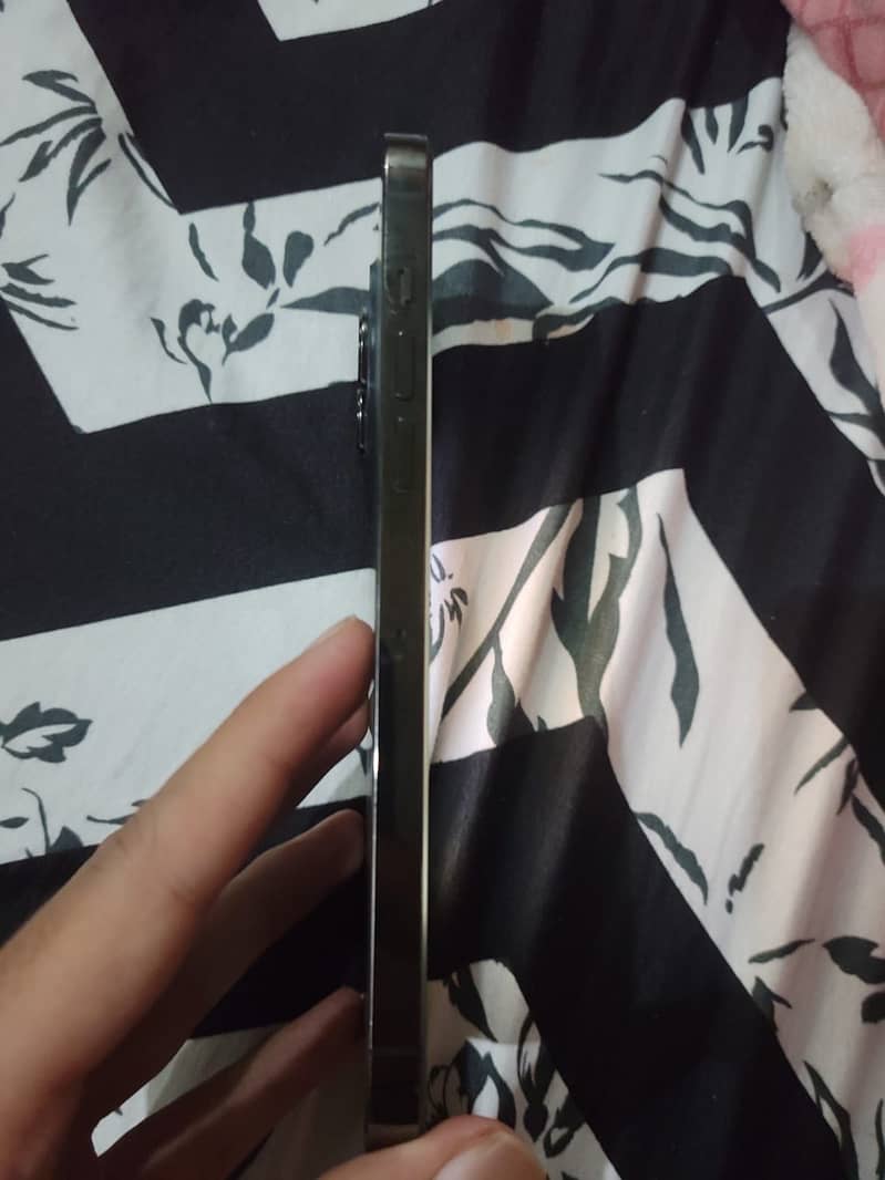 iPhone 13 Pro Max 1