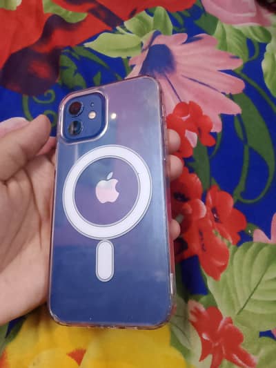 Apple iPhone 12