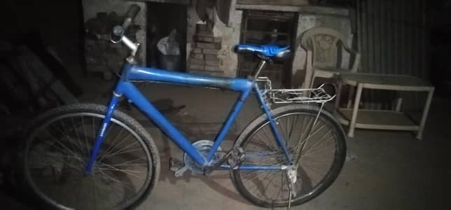 cycle for adult