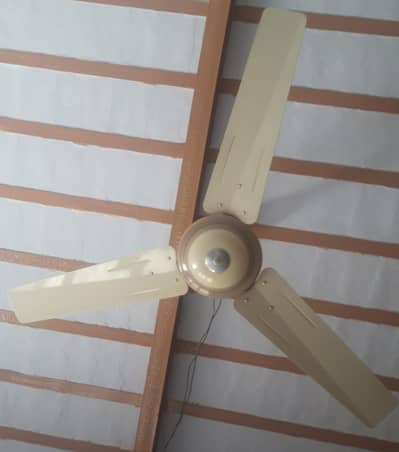 Prime Fan