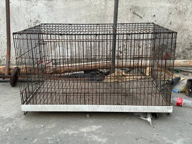 animals cage 0