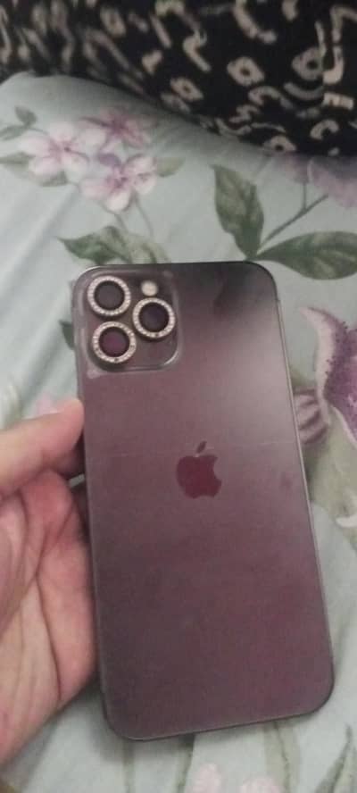 Apple iPhone 12 Pro Max