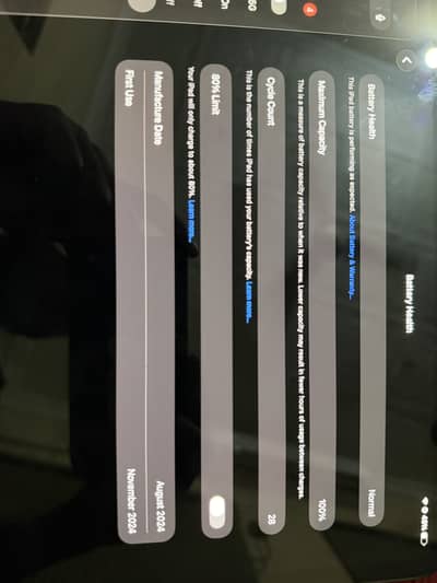 Ipad m4 12.9 inches 256gb