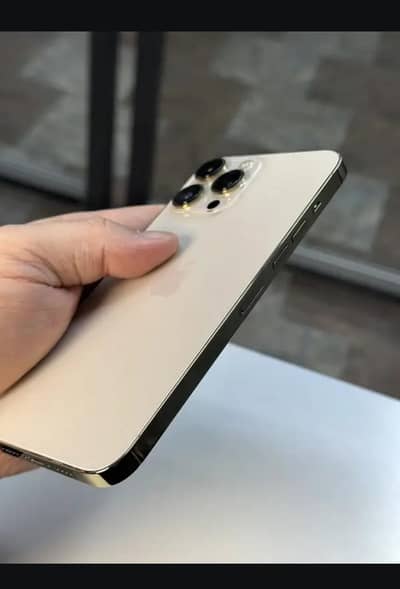 Apple iPhone 13 Pro Max PTA 256