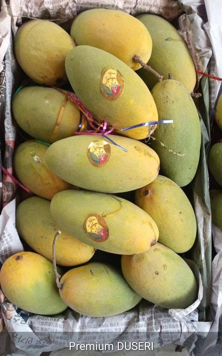 Multani Mango 4