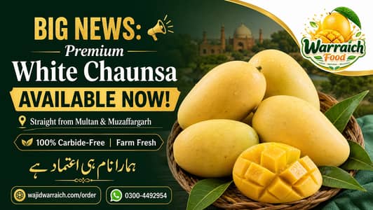 Premium Chaunsa Mangoes – 8 KG Gift Pack | Rs. 2,500 | Free Delivery