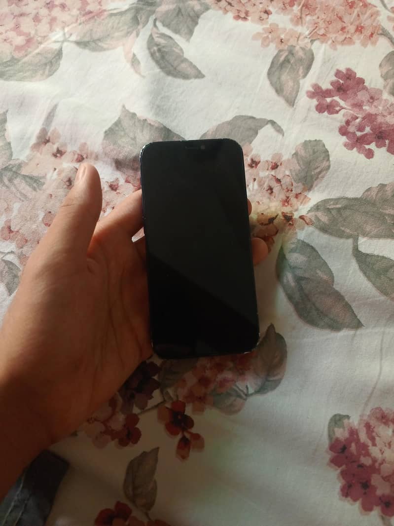 IPhone 12 mini 1
