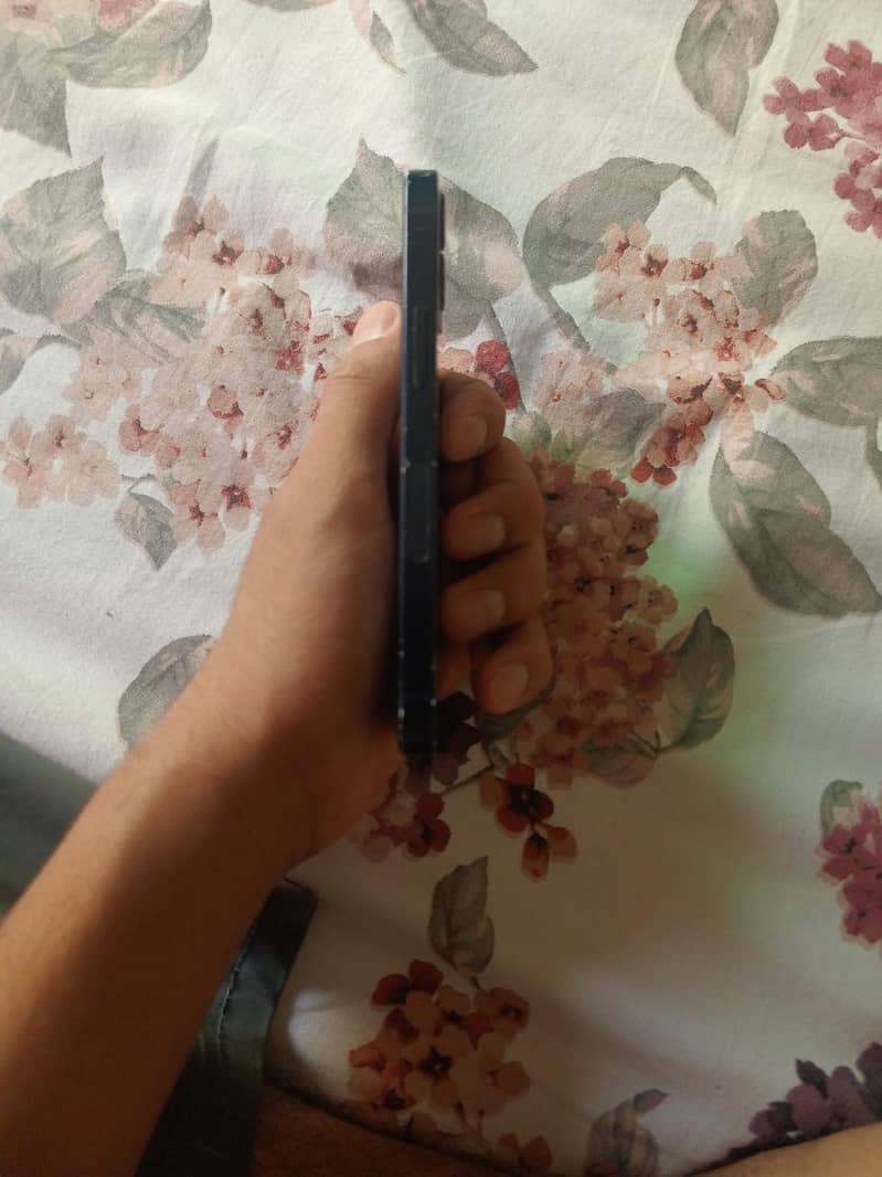 IPhone 12 mini 2