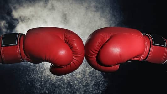 Boxing gloves Everlast sports 12oz 14oz 16zo glove Punching Gloves