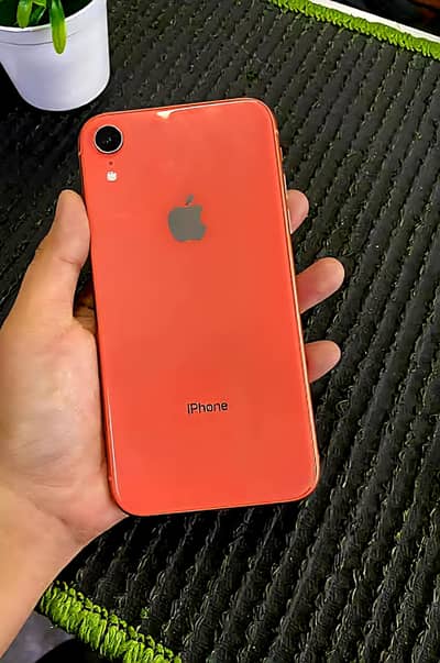 Apple iPhone XR