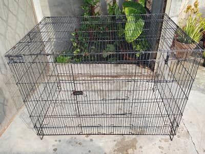 Iron Cage | Hen Cage | Aseel cage| Spot Welding Cage