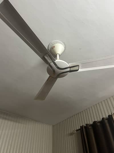 Fan for sale