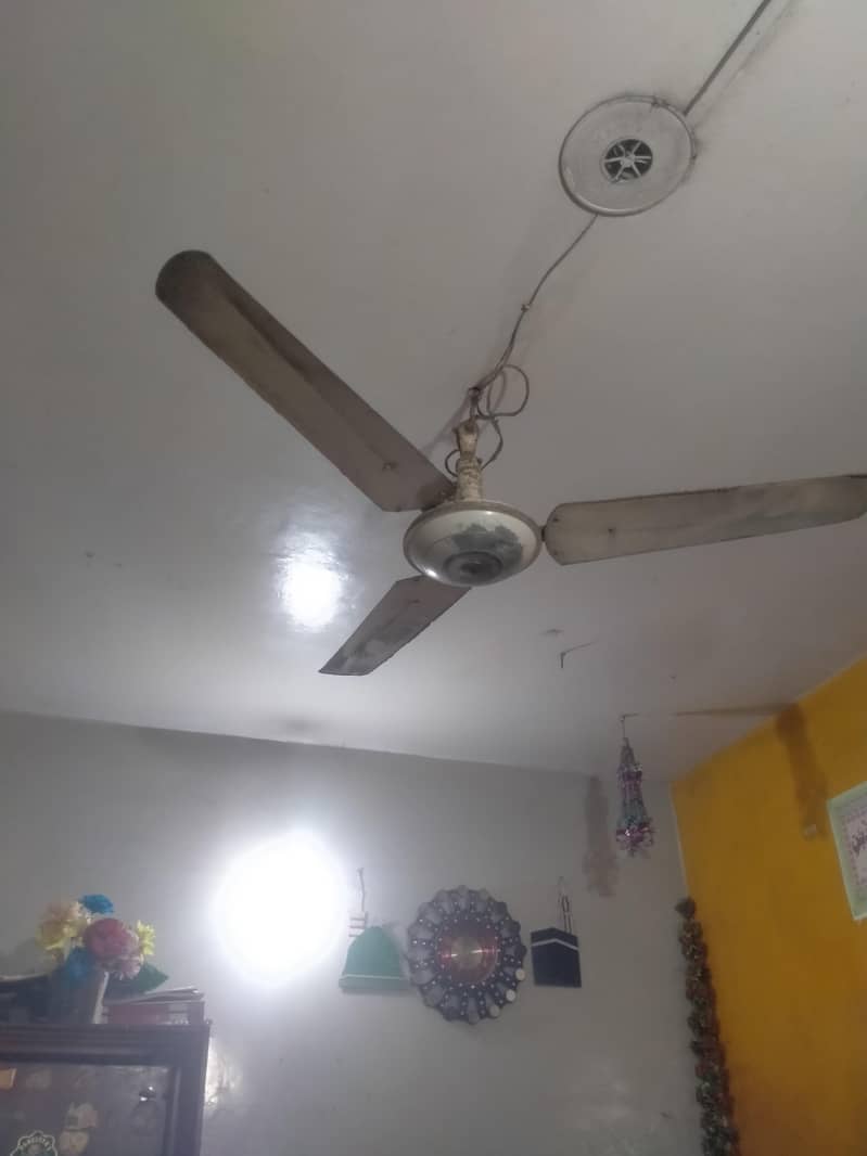 ceiling fan 1