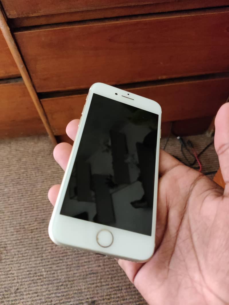 Apple iPhone 7 1