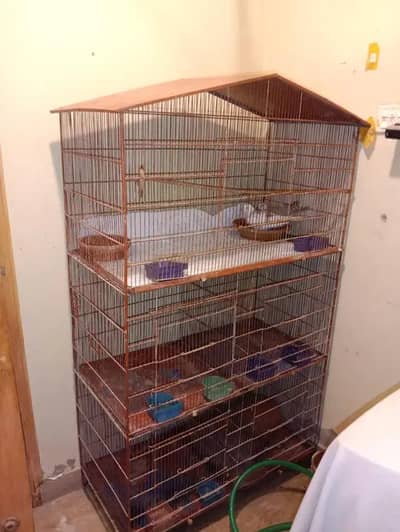 birds cage