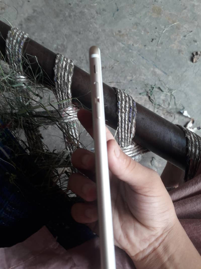 Apple iPhone 6S Plus 2