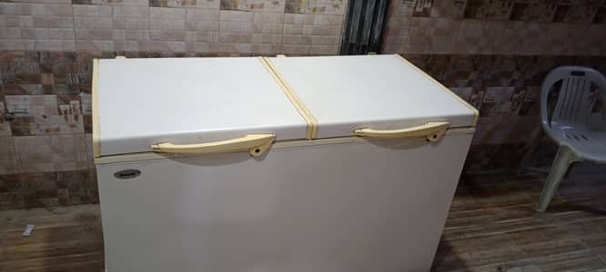 Waves double door freezer