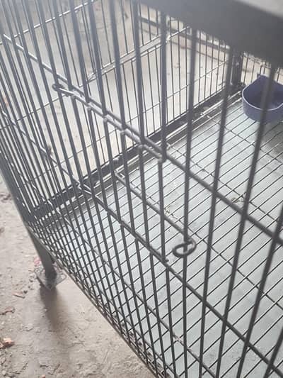 bird cage