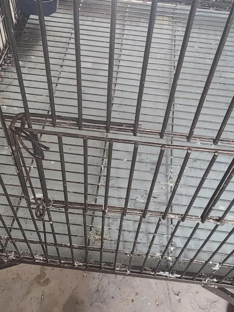 bird cage — photo 3