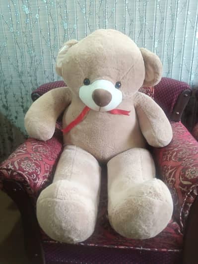 Large size teddy bear
