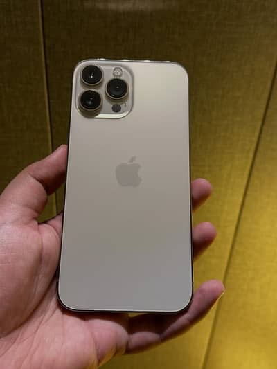 iPhone 13 Pro Max 256GB