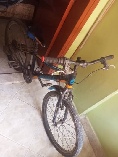 Bicycle