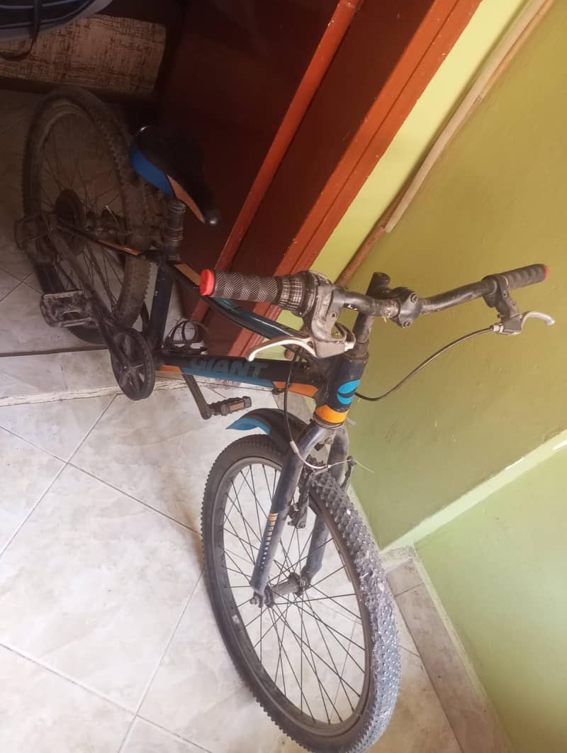 Bicycle 0