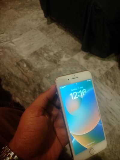 8plus