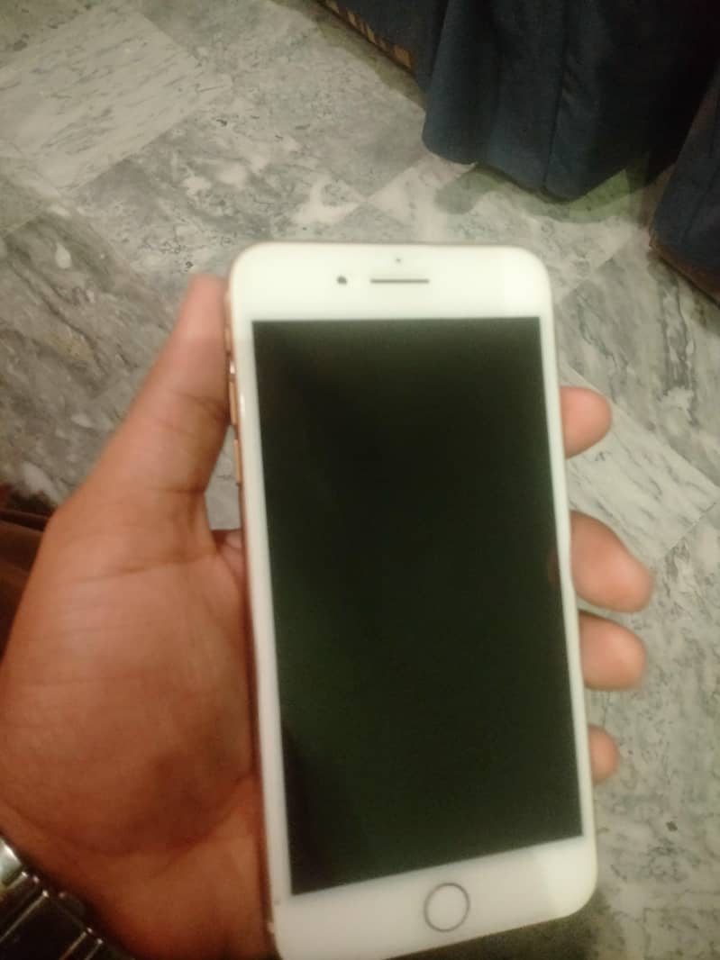 8plus 4
