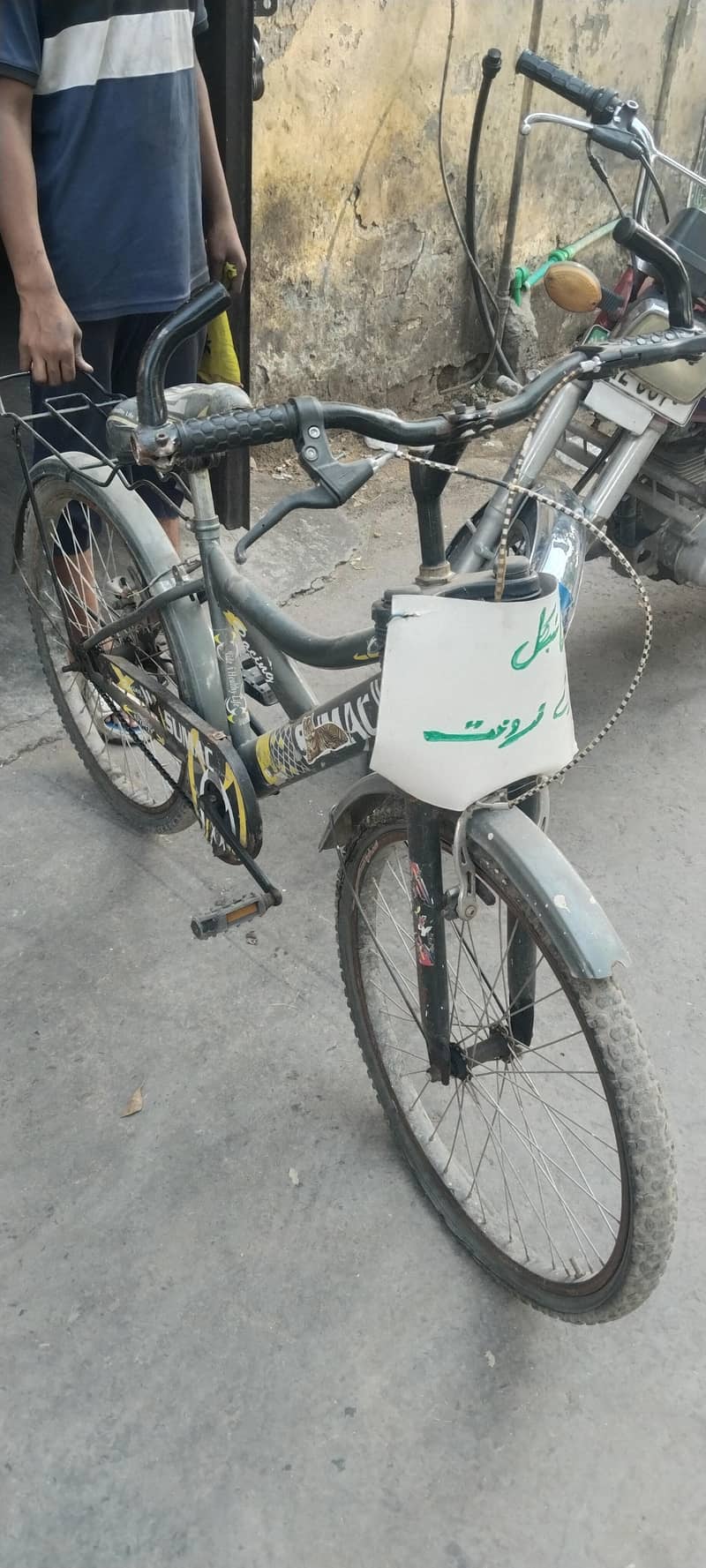 Cycle 0