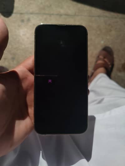 Apple iPhone 13 Pro Max