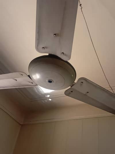 falcon cooper binding celling fan