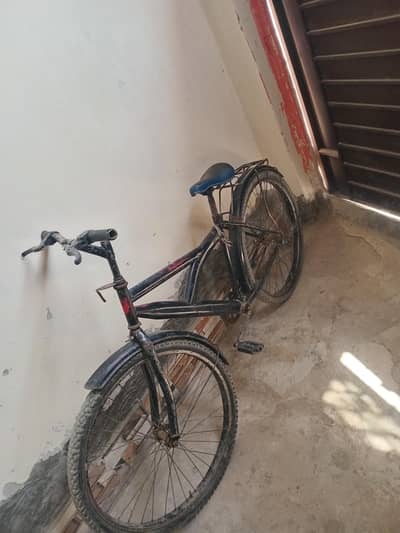 bycycal for sale