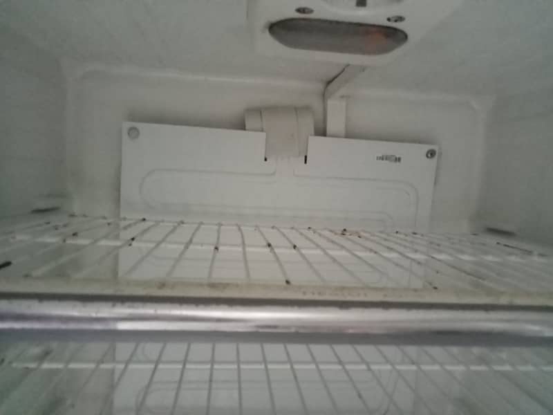 Dawlance Refrigerator 11
