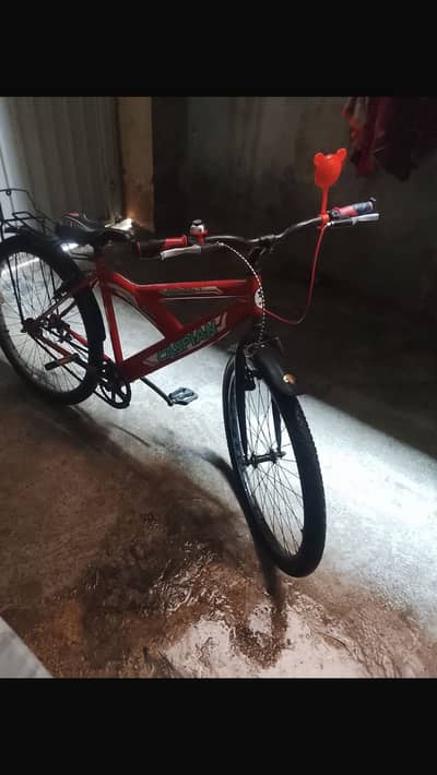 Bicycle for sale