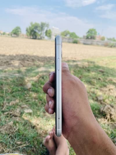 I phone 11