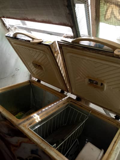 Big size fridge and freezer
