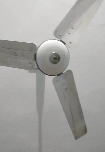 celling fan for sale