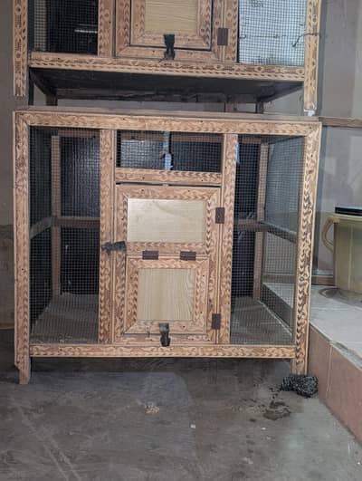 Cage for Birds