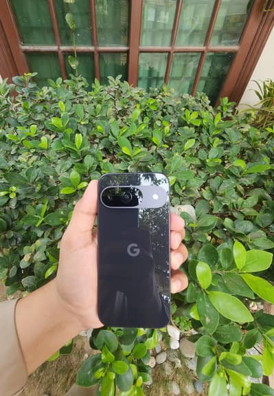Google Pixel 9 Approved