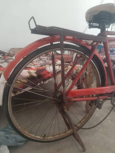 Cycle 20 Size Shaheen