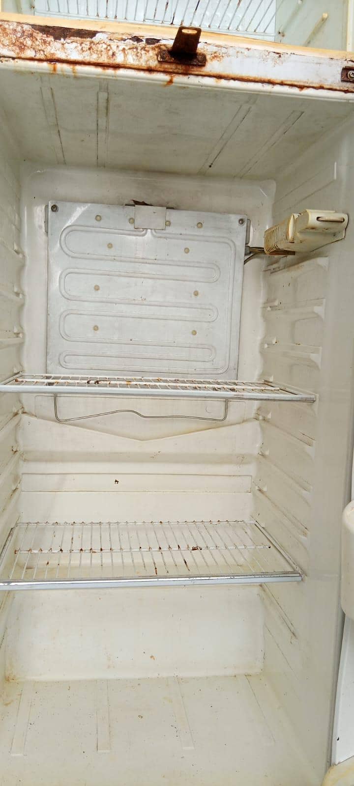 fridge 3