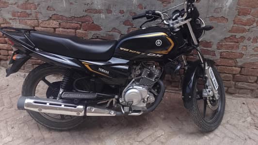 Yamaha 125dx
