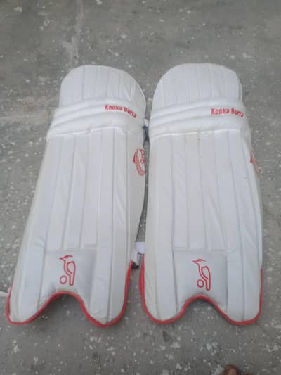 hard boll circkete kit for sale 7days used