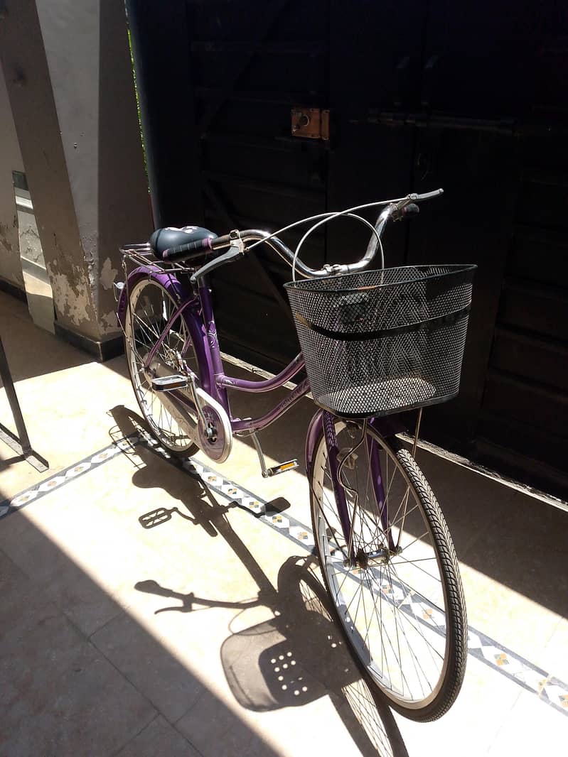 Bicycle 0